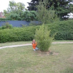 IMG 4986  Medium - Scouts en Gidsen Zaventem 